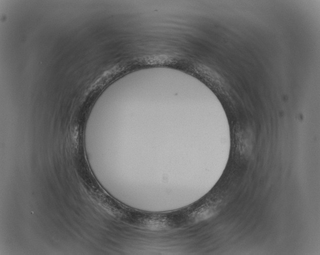 X0000082680308200702091639