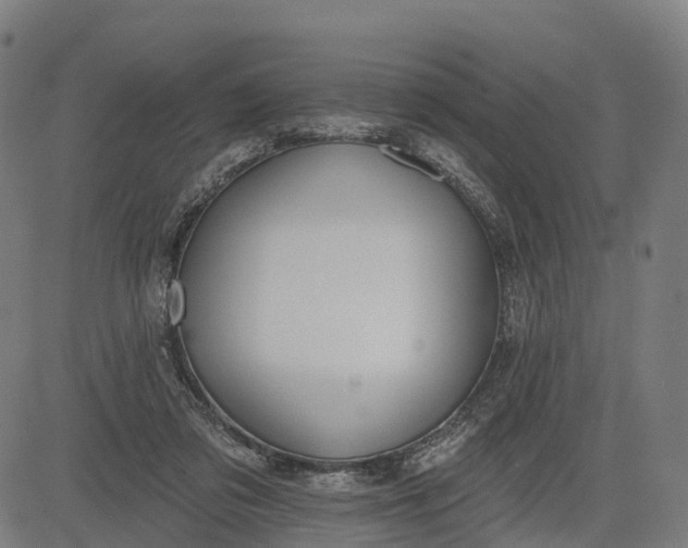 X0000082680309200702091639