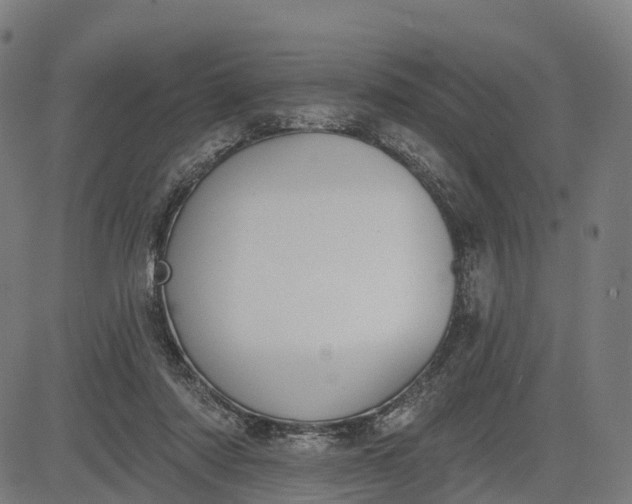 X0000082680310200702091639