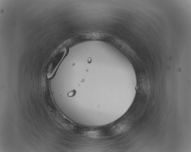 X0000082680312200702091639