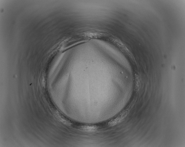 X0000082680313200702091639