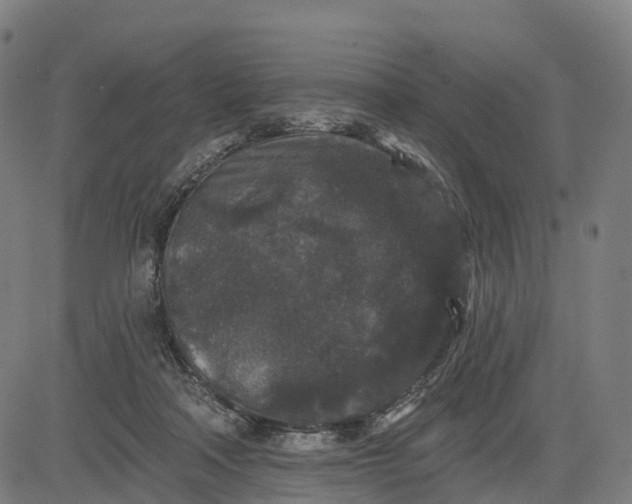 X0000082680314200702091639