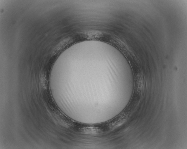 X0000082680316200702091639