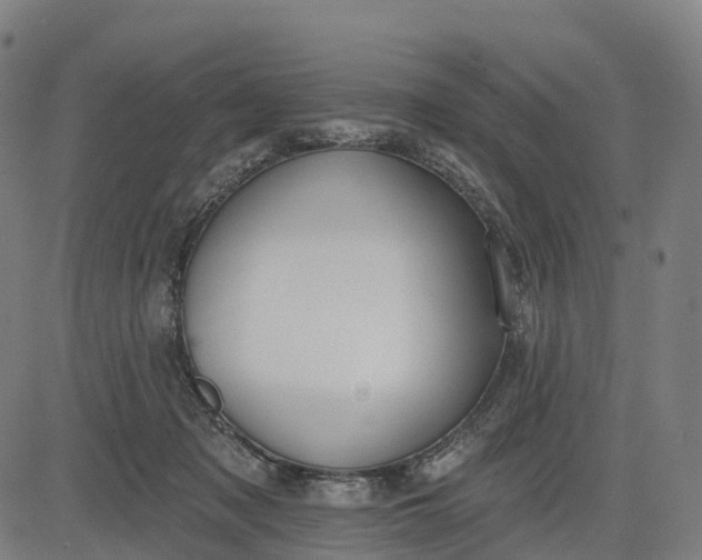 X0000082680317200702091639