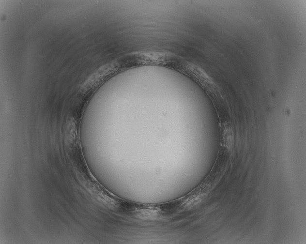 X0000082680318200702091639