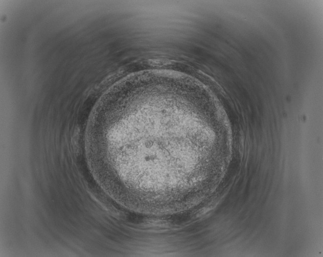 X0000082680319200702091639