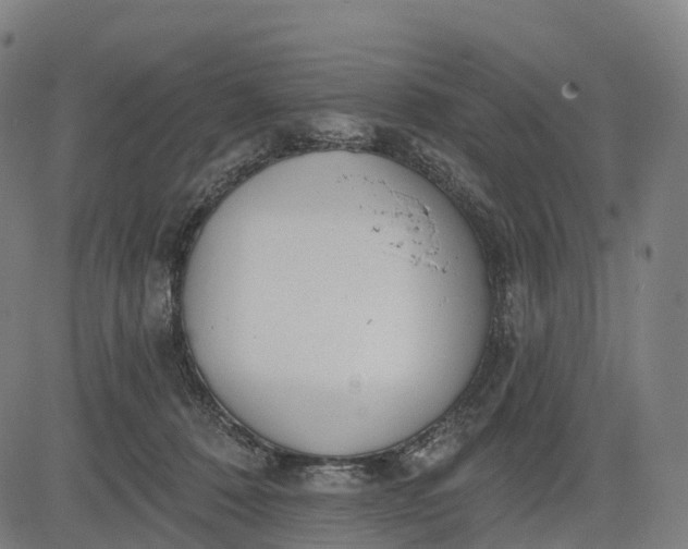 X0000082680320200702091639