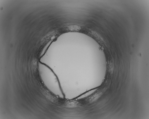 X0000082680321200702091639