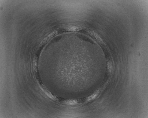 X0000082680322200702091639