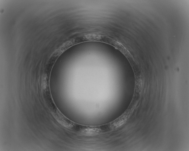 X0000082680323200702091639