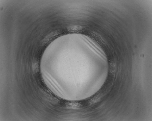 X0000082680324200702091639