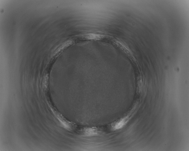 X0000082680325200702091638