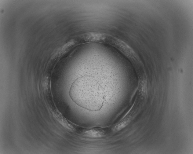 X0000082680326200702091638