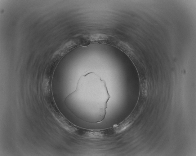 X0000082680327200702091638