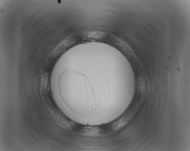 X0000082680328200702091638