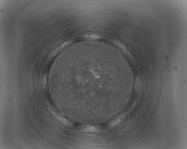 X0000082680330200702091638