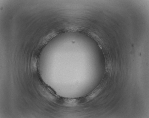 X0000082680334200702091638