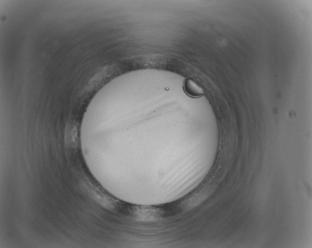 X0000082680336200702091638