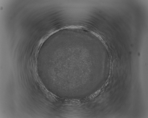 X0000082680337200702091638