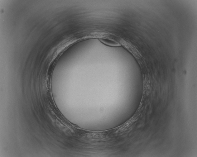 X0000082680338200702091638