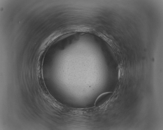 X0000082680339200702091638