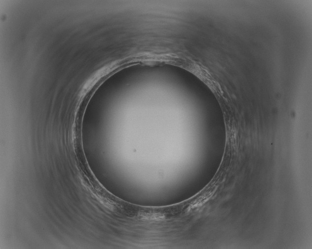 X0000082680340200702091638