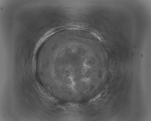 X0000082680343200702091638