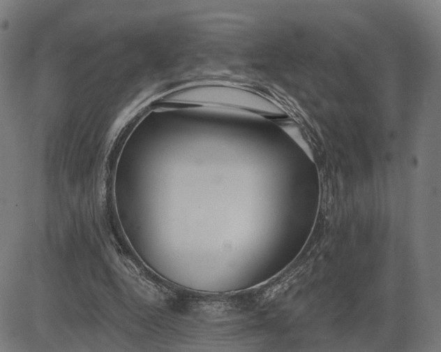 X0000082680344200702091638