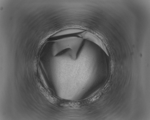 X0000082680345200702091638