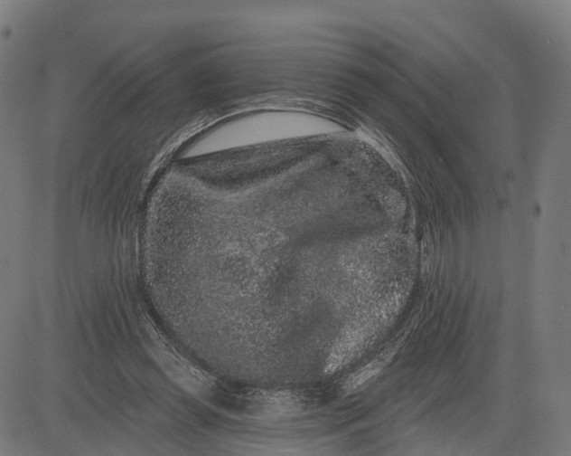 X0000082680349200702091638