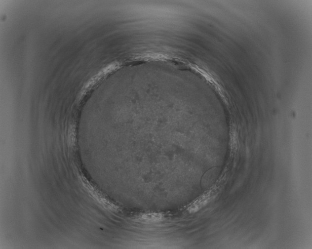 X0000082680353200702091638