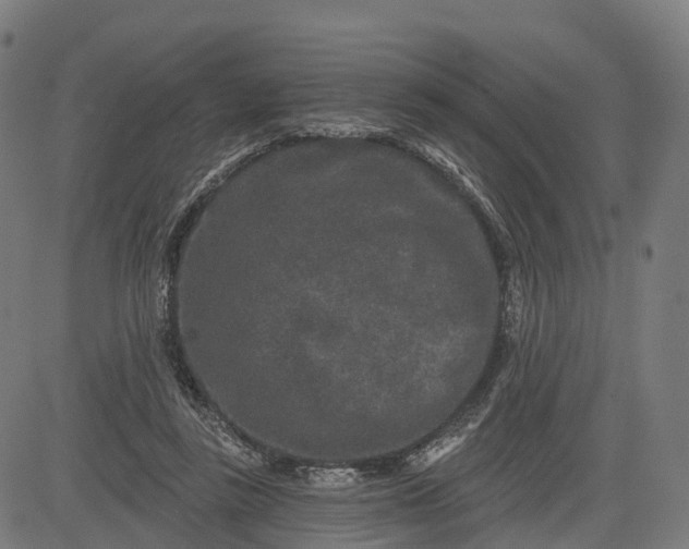 X0000082680355200702091638