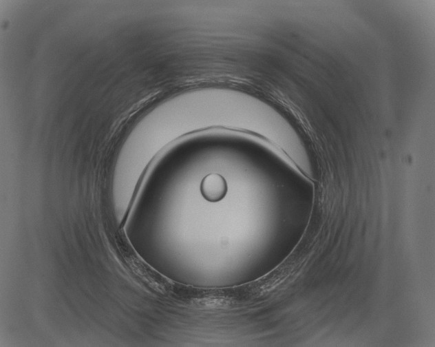 X0000082680356200702091638