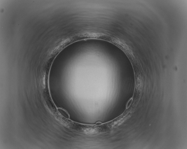 X0000082680358200702091638