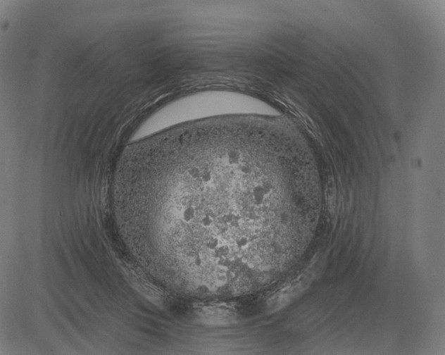 X0000082680359200702091638