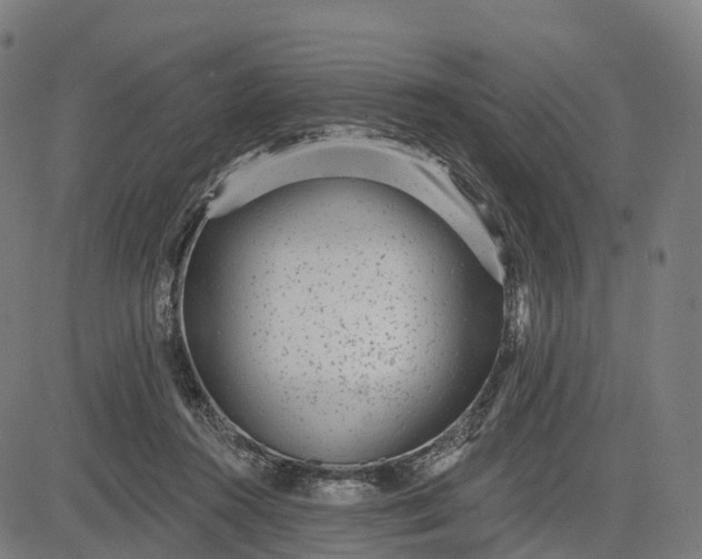 X0000082680360200702091638