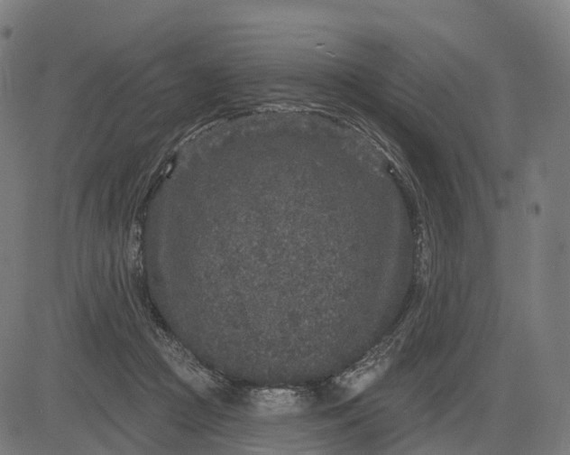 X0000082680361200702091638