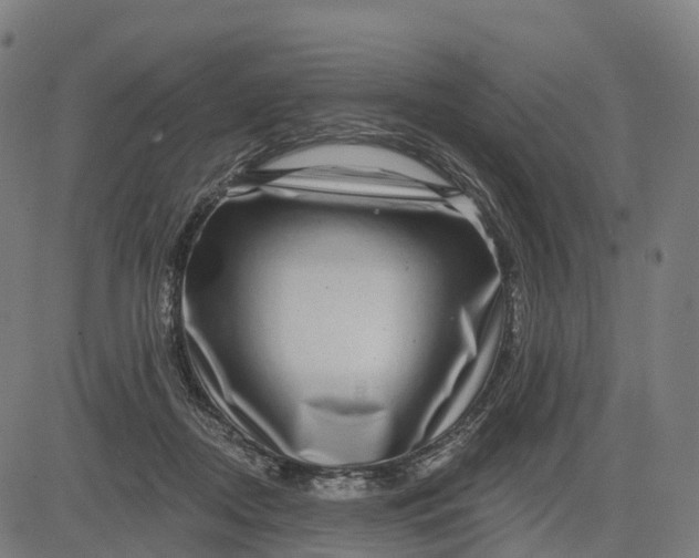 X0000082680362200702091638