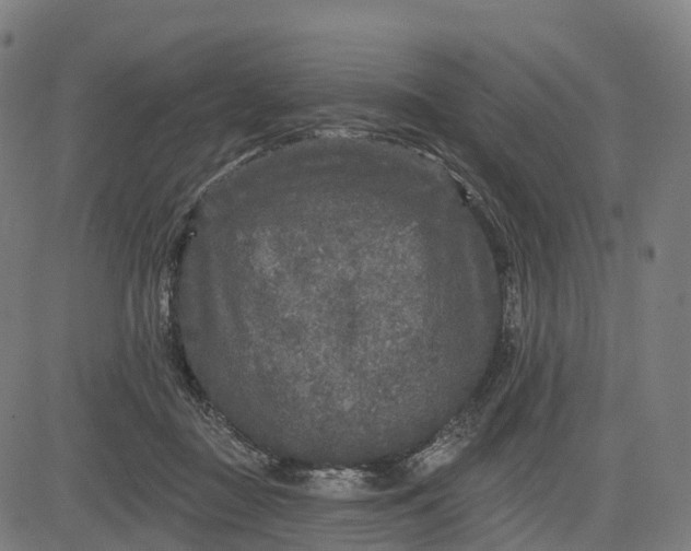 X0000082680363200702091638