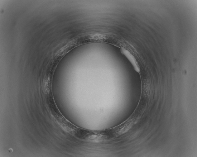 X0000082680364200702091638