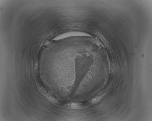 X0000082680365200702091638