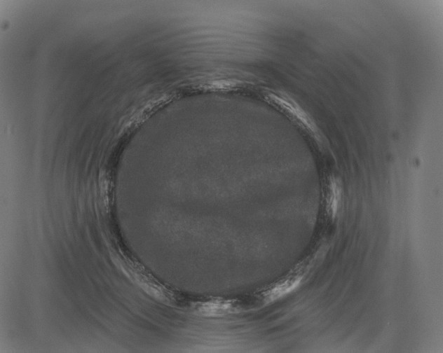 X0000082680366200702091638