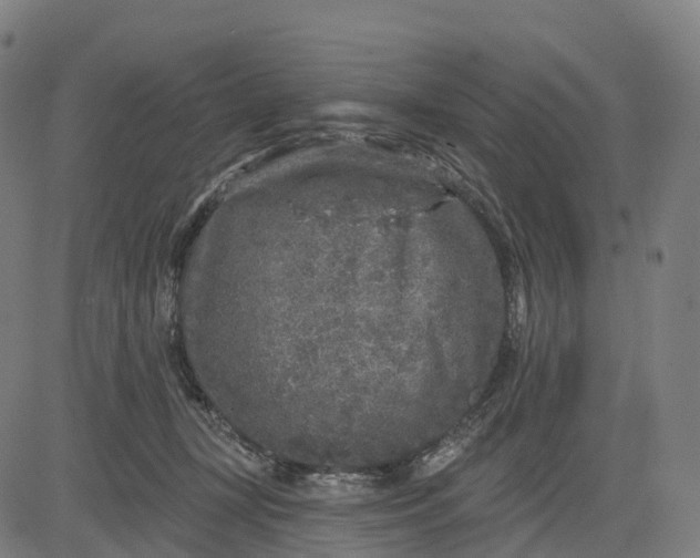 X0000082680367200702091638