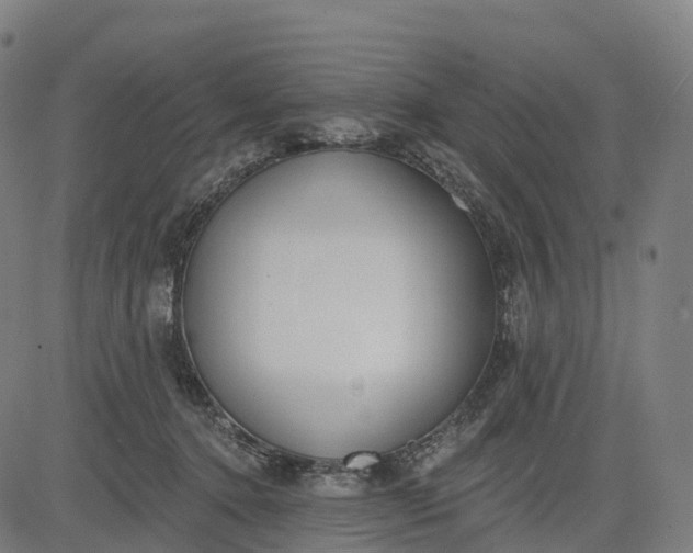 X0000082680368200702091638