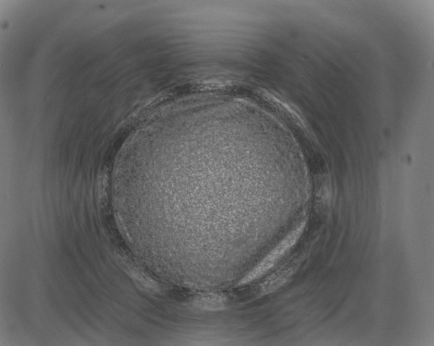 X0000082680369200702091638