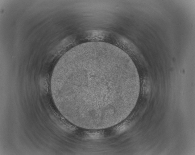 X0000082680370200702091638