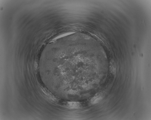 X0000082680371200702091638