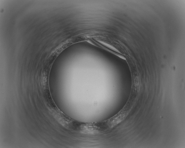 X0000082680372200702091638