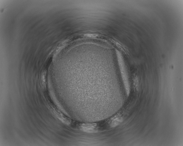 X0000082680373200702091638