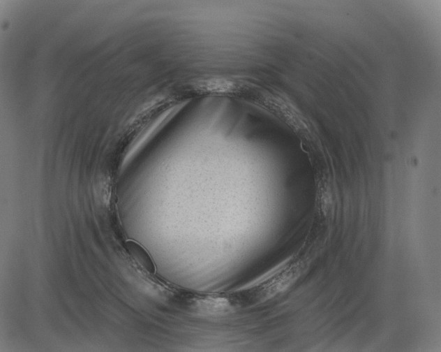 X0000082680374200702091638